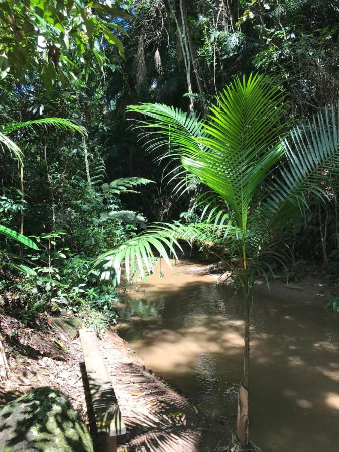 Reserva Dos Manacas Сан-Педру-да-Серра Экстерьер фото